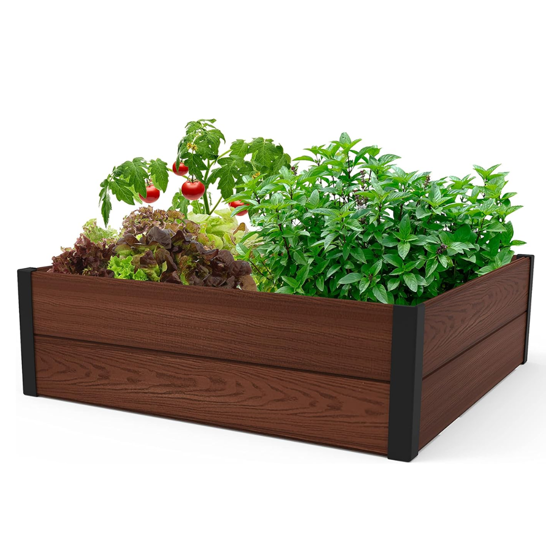 สีน้ำตาล