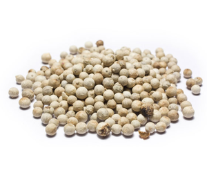 Le poivre blanc est fabriqué à partir de poivre mûr le poivre subit un frottement manuel et un processus d'épluchage dernier cas - Product Image 2