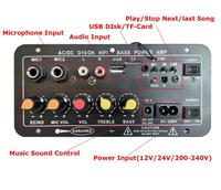 D10 AC 220V 12v 24v carte amplificateur stéréo BT numérique Subwoofer double Microphone amplificateurs de karaoké pour haut-parleur 8-12 pouces