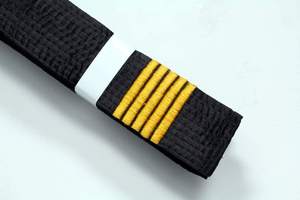 Ceinture d'arts martiaux noire de qualité supérieure pour le taekwondo, le judo et le karaté, idéale pour l'entraînement, les compétitions et un usage professionnel. - Product Image 2