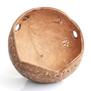 Meilleure vente d'orchidées en pot, fleurs d'orchidées, bonsaï, nouveau style, coquilles de noix de coco, pots en bois naturel, jardinière de cactus - Product Image 2