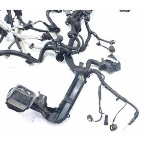 Cablaggio Motore FORD EcoSport Serie JN15-12C508-BE SFJL Benzina 1000 (12>) - Product Image 5