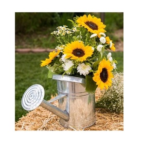 Regadera galvanizada Último diseño Nueva llegada Césped Decorativo Agua Puede usar para la decoración del hogar Hecho a mano - Product Image 6