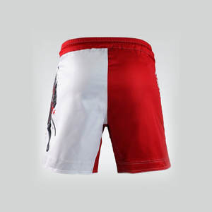 Short MMA imprimé par sublimation Short de combat Taille haute Short de combat MMA vierge Production durable en gros - Product Image 2