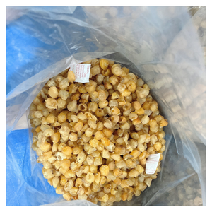 Venta al por mayor de longan seco de Vietnam, longan seco de primera calidad con rico sabor dulce natural de 100% fruta madura perfecta para la exportación - Product Image 5