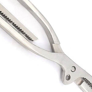 Pince de maintien d'os Porte-os Instruments orthopédiques chirurgicaux Prix de gros Pince de maintien d'os en acier inoxydable personnalisée - Product Image 6