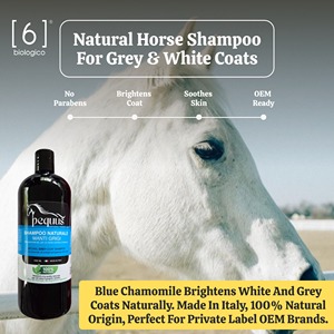 Shampoo naturel pour chevaux à pelage gris-blanc - Camomille bleue éclaircissante - Marque privée OEM - Fabriqué en Italie - Product Image 2