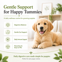 Formule vétérinaire : Poudre probiotique pour chien, prébiotiques, postbiotiques, riche en protéines, sans céréales, pour la santé intestinale et un soin digestif doux