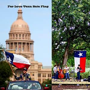 Lot de 12 drapeaux du Texas 3x5 pieds pour extérieur, drapeau de l'État du Texas fabriqué aux États-Unis pour usage extérieur intensif, drapeaux en polyester de l'État du Texas TX - Product Image 6