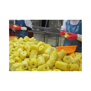 Ananas séchés naturels de qualité supérieure, meilleur fournisseur vietnamien d'ananas séché doux à faible teneur en sucre - Product Image 1