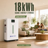 Batterie domestique BEES TECH LiFePO4 18 kWh 51,2 V 360 Ah avec indicateur lumineux LED, ultra-silencieuse (<30 dB) pour le stockage d'énergie domestique