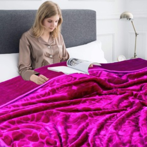 2024 vente chaude personnalisé imprimé 2 plis hiver vison Raschel couvertures haute qualité personnalisé imprimé 2 plis vison couvertures - Product Image 3