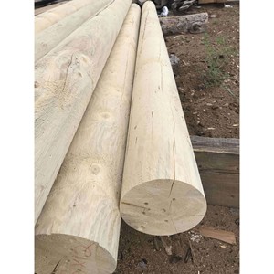 Bois rond industriel lourd et durable pour la construction et l'infrastructure - Product Image 2