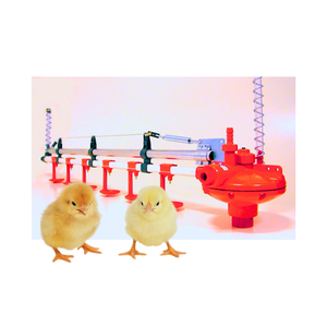 Equipo de ganado automático de alta tecnología Equipo de aves de corral de plástico de alta calidad con embalaje personalizado Fabricante de Vietnam - Product Image 3