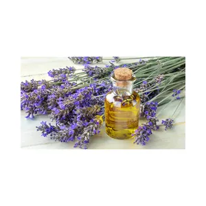 Indian Supplier Top Quality Lavender Essential Oil for Export Sale