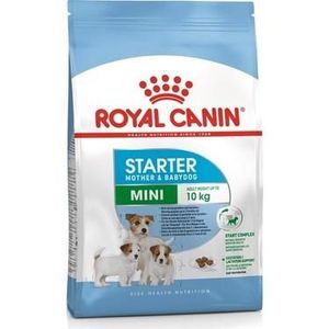 Royal Canin Mini Starter cucciolo cucciolo cibo 4 Kg