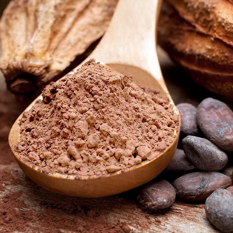 Poudre de cacao brut biologique de qualité supérieure