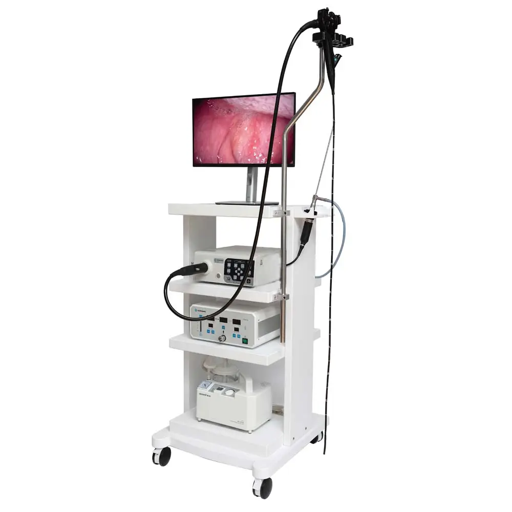 Tierklinik Tier medizinisches Video Magen-Darm-Endoskopie-Endoskop-System Veterinär-Endoskop kamera
