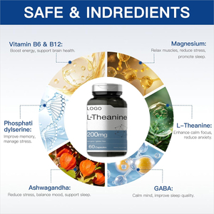 L-theanine Vitamin D3 B12 B6 bebas gula Mint Melatonin 5-htp suplemen otak kafein l-theanine kapsul untuk perawatan tidur suasana hati - Product Image 4
