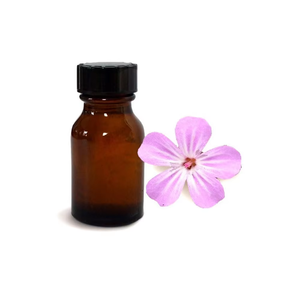 Aceite esencial de geranio de etiqueta privada de suministro OEM para el cuidado de la piel y el cabello aceite de geranio de bajo precio - Product Image 3