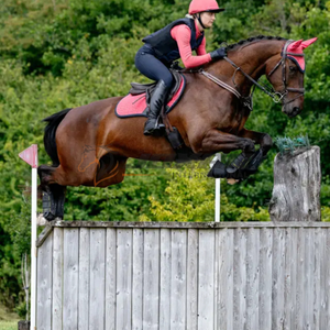 Almohadilla de sillín inglesa superventas, venta al por mayor, cómoda, suave, duradera, mezcla de algodón y poliéster, almohadilla de sillín transpirable - Product Image 2