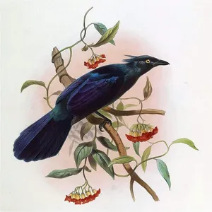 กระเบื้องเซรามิคหินอ่อนนกสีดำเขตร้อนผนังห้องครัวมันวาวสำหรับการตกแต่งภายในด้วยกระเบื้องสี่เหลี่ยมใช้ผนังพื้น - Product Image 1