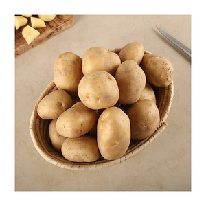 Venta a granel de patatas irlandesas frescas dulces de calidad superior, calidad superior, Venta caliente, precio al por mayor, verduras frescas de granja - Product Image 4