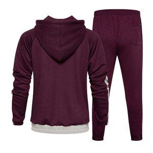 Conjunto Deportivo de Dos Piezas para Hombre, Estilo Sudadera con Capucha, 100% Algodón Ecológico de Alta Calidad, Diseño de Logotipo Personalizable, Cómodo - Product Image 6