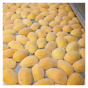 Morceaux de mangue congelés doré du Vietnam, tranches de mangue congelées et morceaux pleins de saveur pour les jus, les sorbets et les desserts glacés - Product Image 4