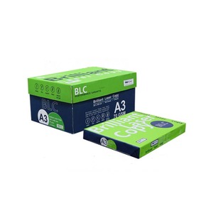 Papel de copia A4 Brilliant Laser de calidad premium, alineado para canales minoristas con un flujo de stock constante. - Product Image 1