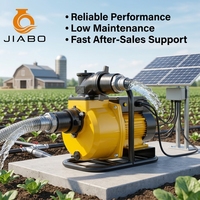 Pompe solaire en acier inoxydable 1HP 1 pouce OEM ODM pour puits profonds et irrigation agricole