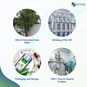 น้ำมันหอมระเหยฝรั่งบริสุทธิ์และเป็นธรรมชาติ100% - Product Image 4