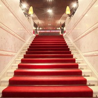 Moquette d'escalier Axminster fabriquée à partir de 80% de laine de Nouvelle-Zélande et de 20% de nylon 6, sensation confortable sous les pieds pour les escaliers d'hôtels de luxe