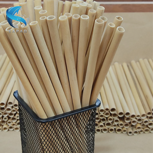 Kit de paille en bambou biologique pour usage quotidien - Product Image 4