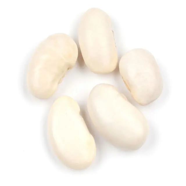 गर्म बिक्री वाली अच्छी गुणवत्ता वाली स्वस्थ लंबी सफेद बटर बीन सूखी सफेद किडनी बीन्स