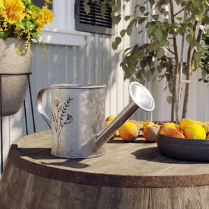 Regadera elegante de acero inoxidable de metal rústico con herramienta de jardín para el hogar galvanizada con pulgar - Product Image 4