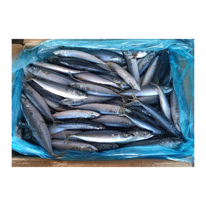 Venta al por mayor de caballa del Pacífico congelada, suministro a granel de pescado congelado de alta calidad para el comercio internacional - Product Image 6