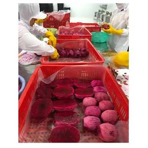 Dragon Fruit Congelé du Delta du Vietnam, Qualité Premium, Meilleur Prix, Vente en Gros, 1kg, Forme Boule/Dés - Product Image 4