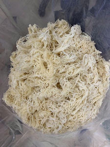Meilleur prix 2025, 100% Oragnic Natural Gold Sea Moss de haute qualité du Viet Nam - Product Image 5