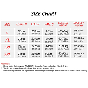 Custom Gradient Color Soccer Wear Sets High Quality 100% Polyester Comfortable Durable OEM Sportswear for Adults Printed Logo - Product Image 4