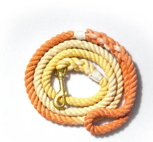 Laisse Ombre pour Chien-Orange Lime - Product Image 2