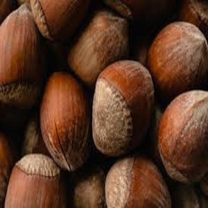 Nueces de Avellana de la Mejor Calidad, Empacadas a Granel en Bolsas Grandes, Nueces Frescas al Vacío Listas para Fabricantes de Alimentos - Product Image 4
