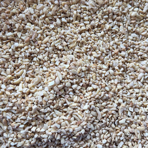 Nueces Directas de Fábrica, Granos de Anacardo SANTIGO, Nueces de Anacardo al por Mayor - Product Image 1