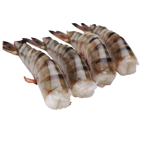 Nueva temporada Camarón tigre negro Fresco congelado Camarón tigre negro entero/Camarón tigre negro/Camarón tigre sin cabeza en exposición a granel - Product Image 6