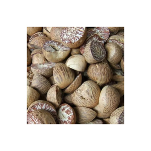 Nuez de Betel de Primera Calidad al por Mayor para Uso Alimentario, Natural, de Origen del Reino Unido, en Envases a Granel - Product Image 6