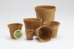Excelente - Product Image 4