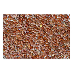 Semillas de Lino Marrón Enteras Naturales (Lignanos de Semilla de Lino) Alta Calidad 100% Pureza Paquete a Granel Origen Estadounidense 3 Años de Vida Útil Venta al por Mayor - Product Image 1