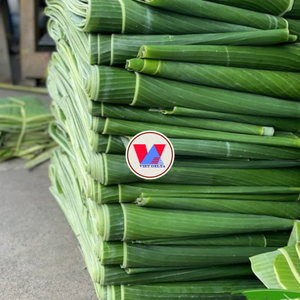 ใบกล้วยแช่แข็งคุณภาพดีส่งออกจากเวียดนามใช้สำหรับบรรจุอาหารและของตกแต่ง - Product Image 6