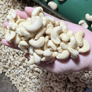 Vente en gros de noix de cajou vietnamiennes W320 Prix Vente en gros de noix de cajou Santigo Viet Nam OEM, ODM - Product Image 1