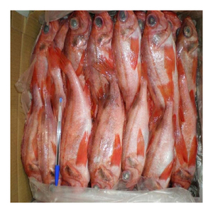 Mullet Rojo del Mar Negro Congelado Premium disponible a precio de fábrica para suministro a granel y comercio mayorista - Product Image 5